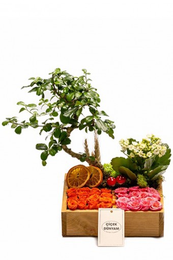 Gardenar