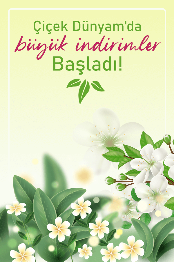 Çiçek Dünyam, İstanbul Çiçek Siparişi, Çiçek Gönder